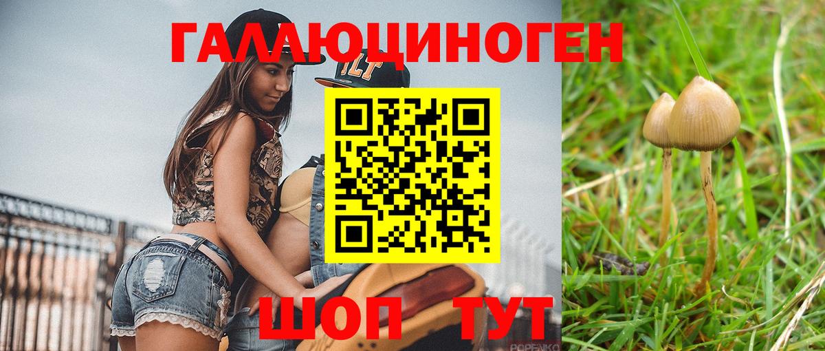 Тамбов  Псилоцибиновые грибы прущие грибы  Галлюциногенные грибы прущие грибы  Вход с VPN 
